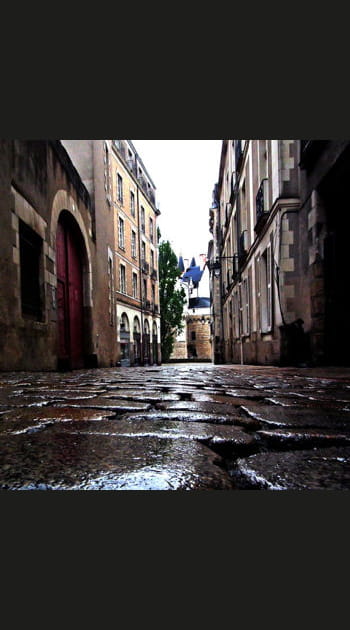 Nantes&nbsp;: 395&nbsp;euros