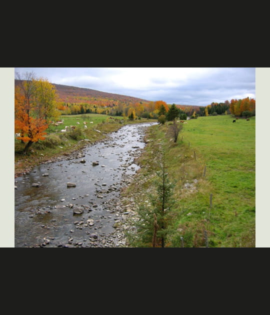 Kinnear's Mills