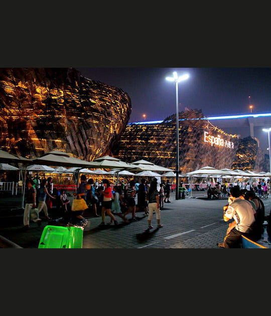 Des milliers de lianes