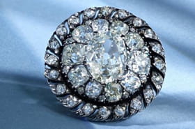 Les Anglais l'ont honteusement vol&eacute;e &agrave; Napol&eacute;on &agrave; Waterloo, une broche de 13,04&nbsp;carats vendue aux ench&egrave;res