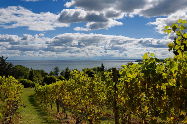 Le Comté du Prince Édouard, entre plages et vignobles