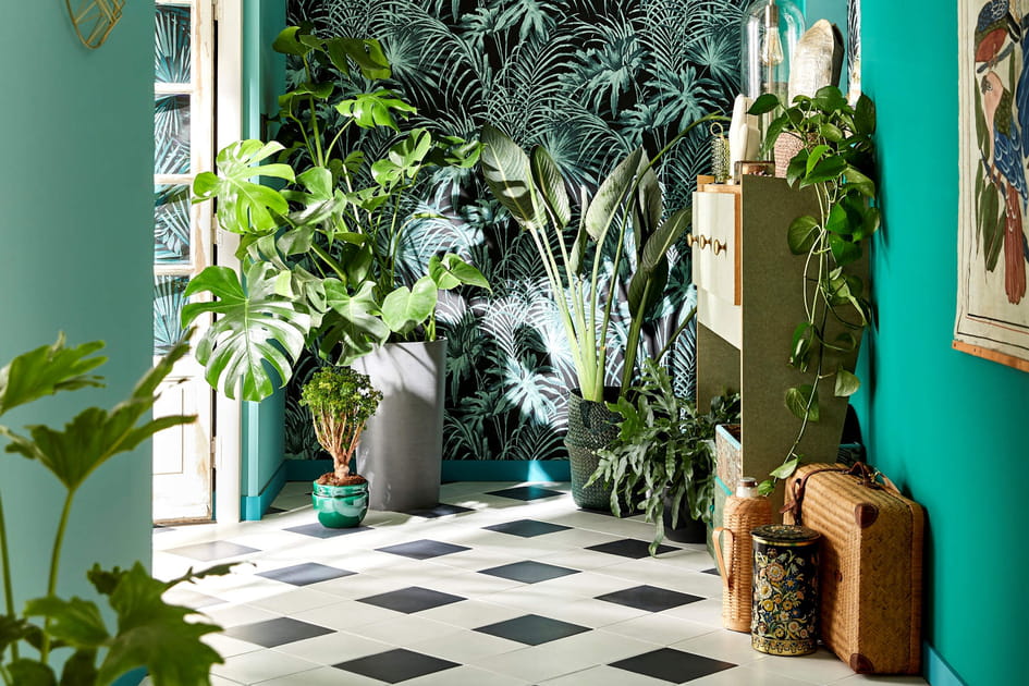 Ambiance jungle