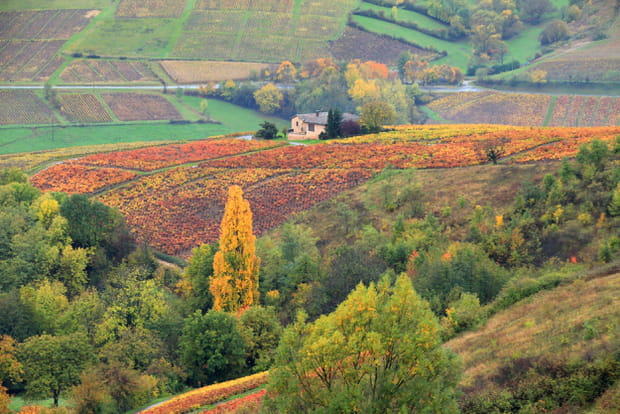 Le Beaujolais, le paradis des amateurs d'œnotourisme à l'automne
