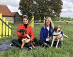 Animaux à adopter : nouvelle famille pour une nouvelle vie