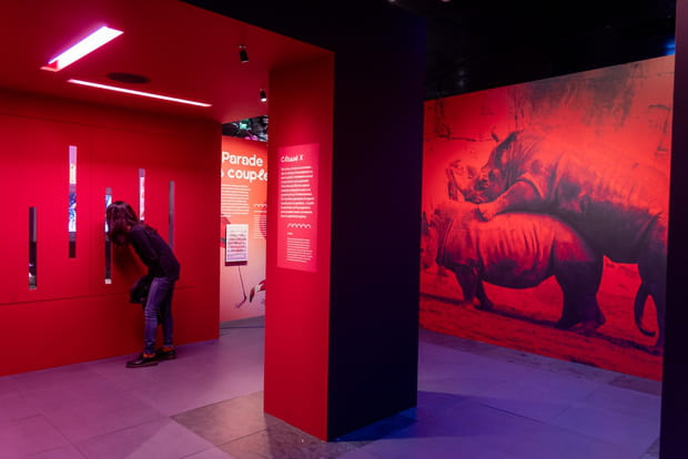 Au coeur de l'exposition Sex Appeal au Museum de Toulouse