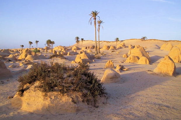 Petites montagnes de Tunisie