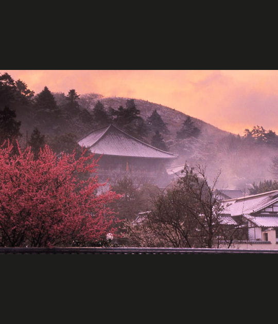 Nigatsudo Hall sous la neige
