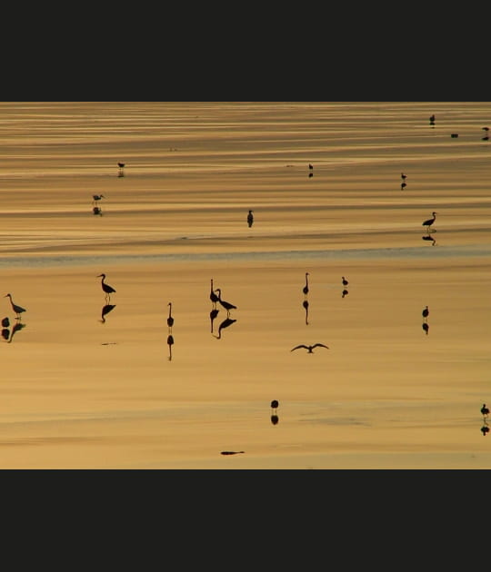Coucher de soleil sur Cayenne