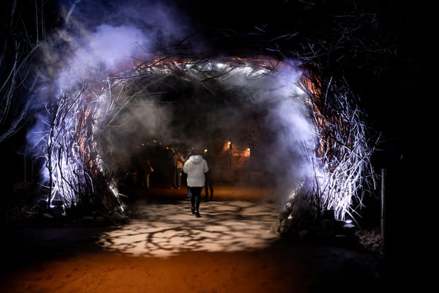 Lumières d'hiver au Parc Animalier de Sainte-Croix