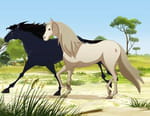 Le ranch