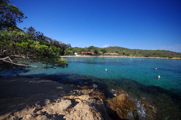 La plage d'argent de Porquerolles