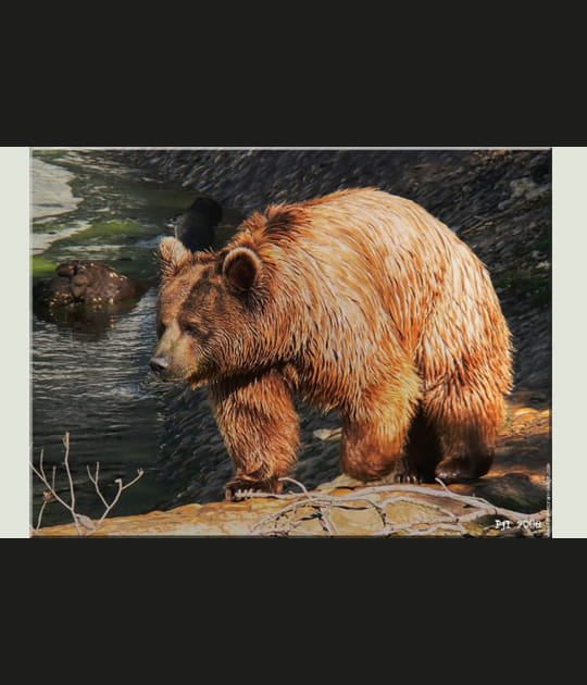 Ours