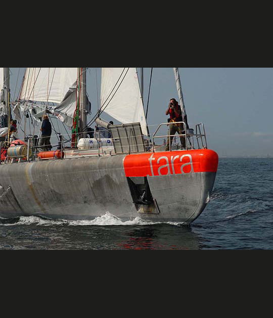 La go&eacute;lette Tara