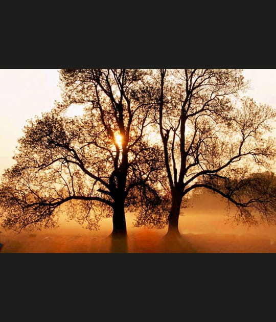 Lueurs matinales