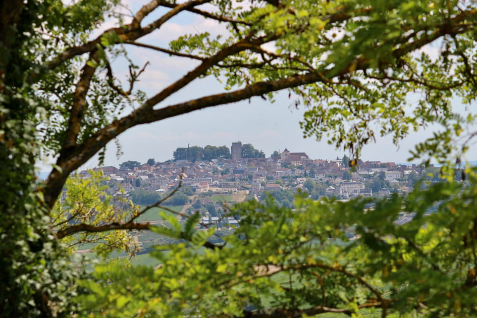Vue de Sancerre depuis Chavignol