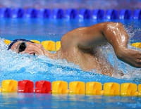Natation - International Swimming League 2019
