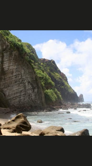 Le miel le plus pur du monde sur&nbsp;l'ile&nbsp;Pitcairn