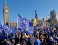Brexit, le combat des 48%