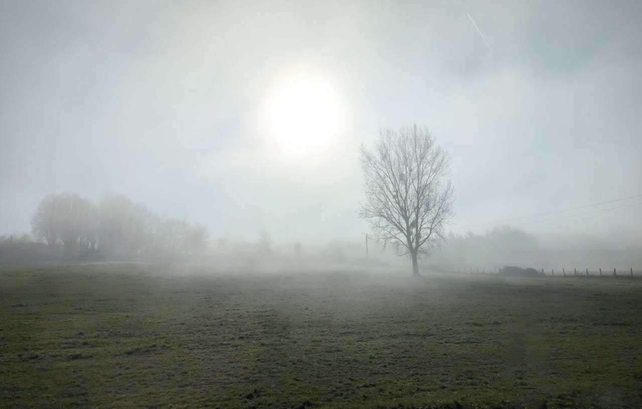 Une chute vertigineuse des températures et de la neige : à cette date, le froid s'installe !