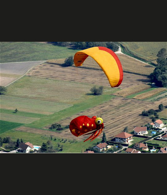 Un dr&ocirc;le de poulpe volant