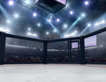 MMA : Hexagone
