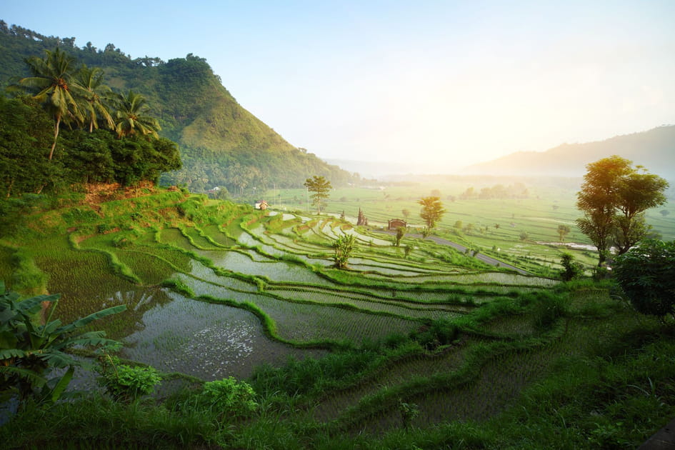 L'exotique Bali en Indon&eacute;sie
