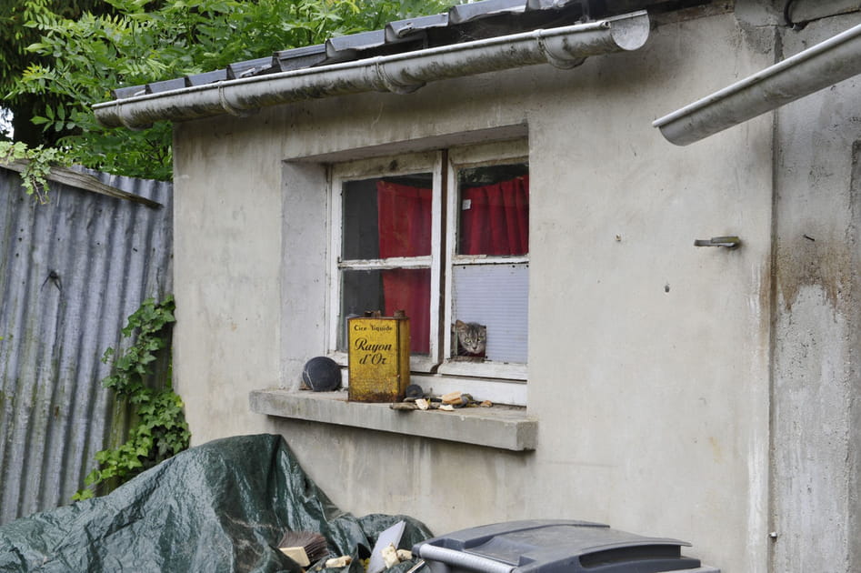 Au domicile du suspect, c&ocirc;t&eacute; cour