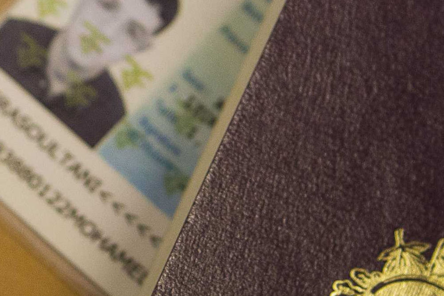 Les stratagèmes de Daesh pour tromper les services de renseignement en Occident