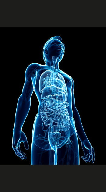 Les organes artificiels