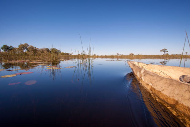 Delta de l'Okavango, Botswana