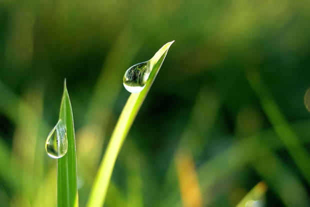 100 fonds d'écran pour accueillir le printemps