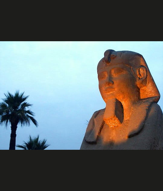 Le sphinx de Louxor