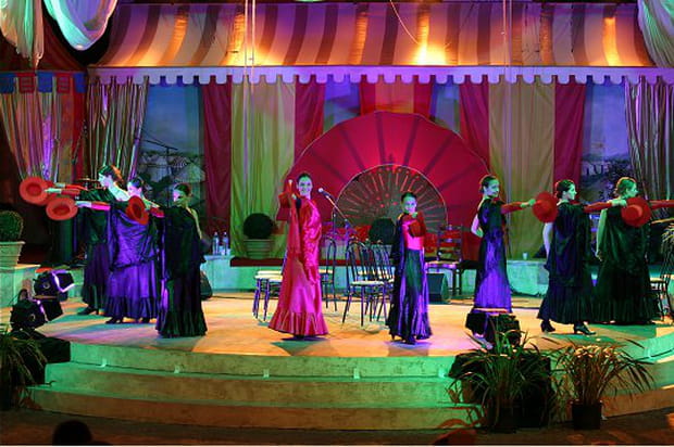 Flamenco !