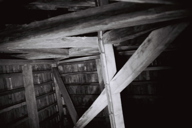 Dans l'ancienne "forêt" de Notre-Dame de Paris