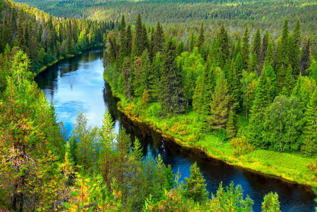 Faites un circuit dans le parc national d'Oulanka en Finlande