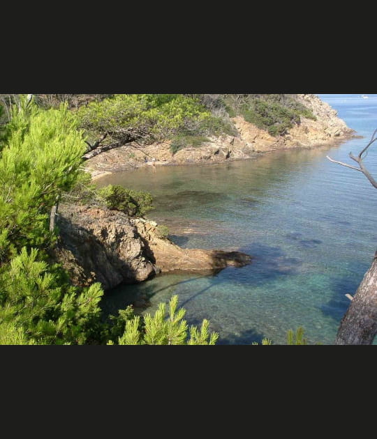 Crique sauvage &agrave; Port-Cros