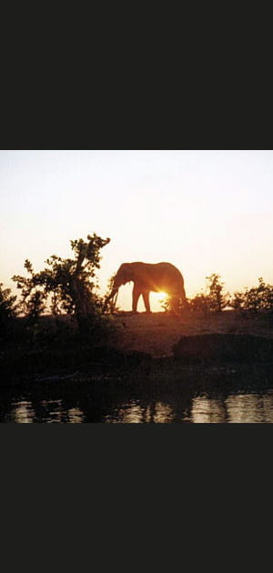 21&nbsp;heures&nbsp;: Le soleil se couche sur la savane