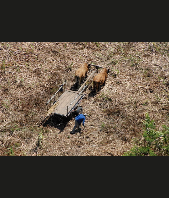 Cultures et agriculture