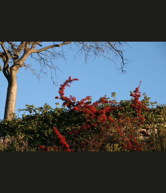 Les Baux en hiver