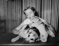 Les oubliés de l'histoire : Jeannette McDonald, une lionne parmi les lions