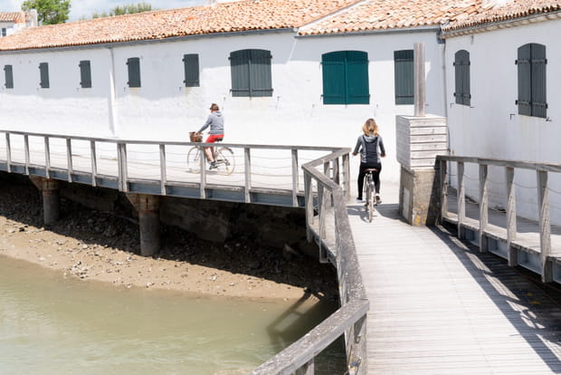 L'Île de Ré à bicyclette, une sortie idéale des ponts de mai