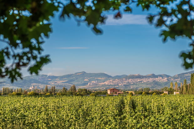 Mont Subasio, un joyau naturel et spirituel en Italie