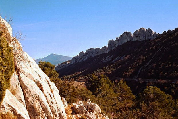 Les Dentelles de Montmirail, une curiosité de Provence