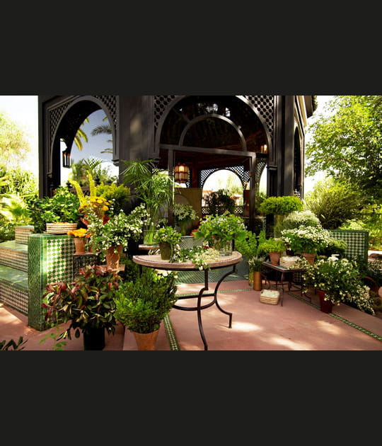 Petit coin de verdure