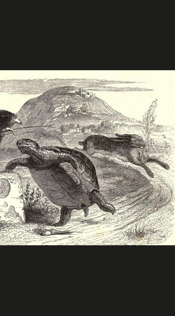 Le Li&egrave;vre et la Tortue