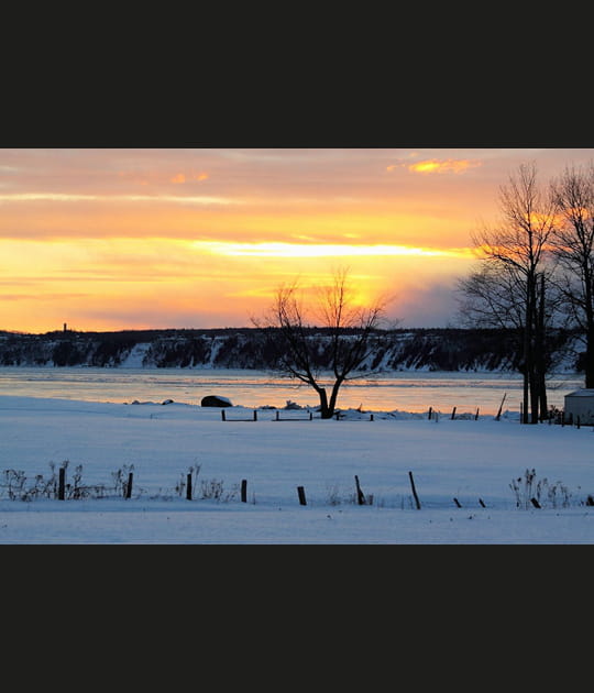 Matin d'hiver