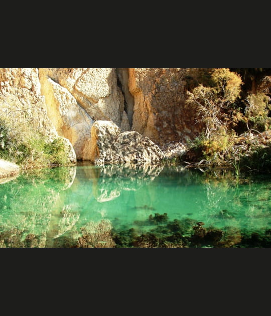 Oasis