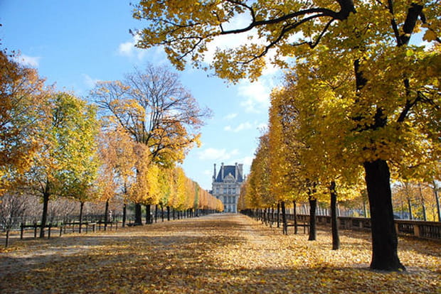 Paris, Jardin des Tuileries