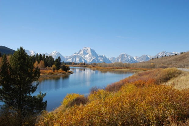 Dans le parc national du Yellowstone, Etats-Unis