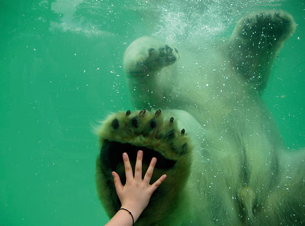 14e : Le Zoo du bois de Coulange, Amnéville les Thermes